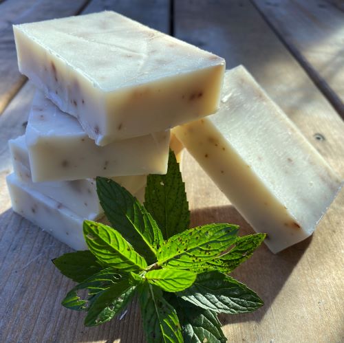 cocoa butter and mint soap